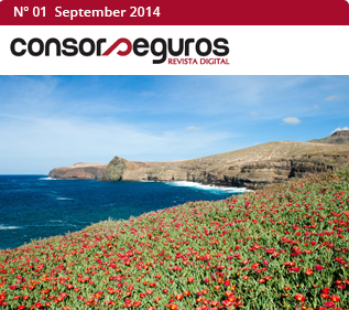 numero GeoMEP project. Assessment of geological risk in the Canary Islands.