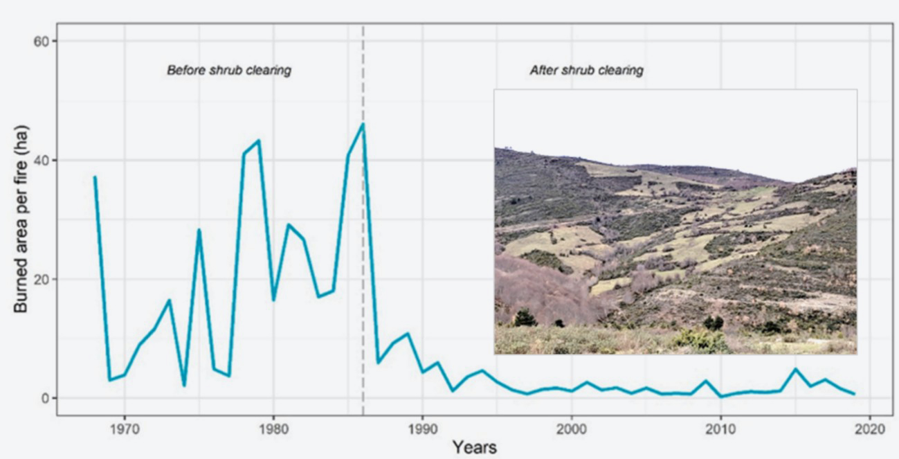 Figure 3. Decrease in the mean fire surface area achieved by shrubland clearing followed by grazing in La Rioja (Spain).