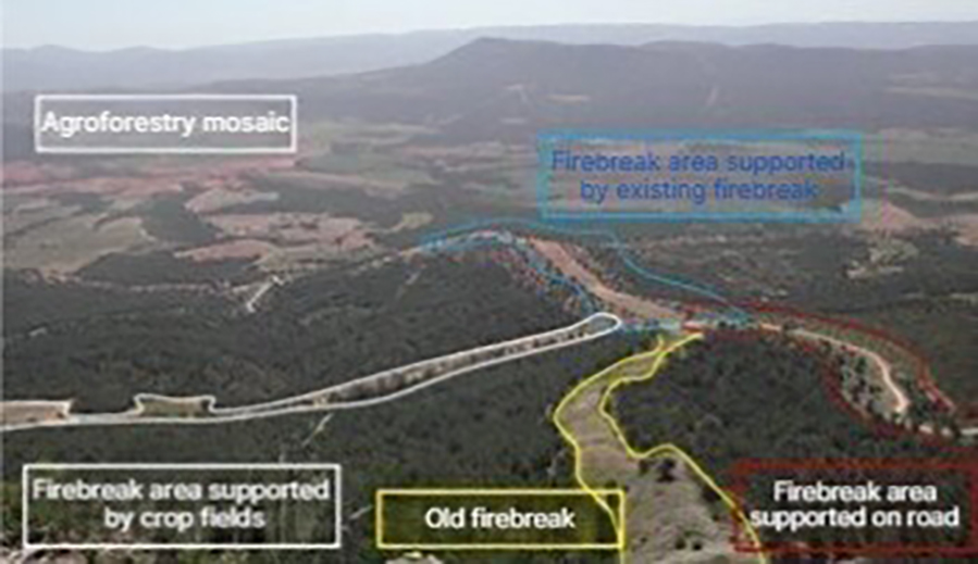 Figure 4. Types of public-private measures that can be employed in rural areas in the Mediterranean region. Source: Generalitat Valenciana [Regional Government of Valencia] 2012. Instrucciones para el diseño de áreas cortafuegos [Instructions for firebreak design]. Valencia.