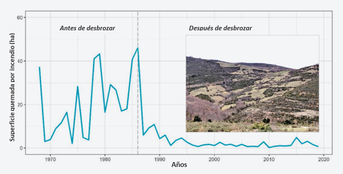 Figura 3. Disminución en la superficie media de incendios mediante la aplicación de desbroces seguidos de pastoreo en La Rioja. Fuente: Lasanta et al. 2022.