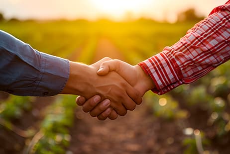 imagen Multi-peril agricultural insurance: 45 years protecting the farming sector