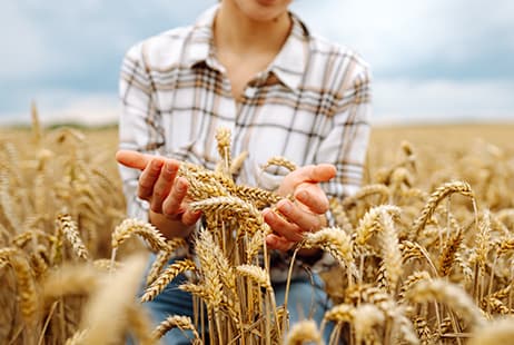 imagen FSFC: A new financial architecture for anticipating hunger
