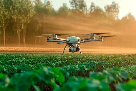 imagen Agricultural risk management strategies and climate change