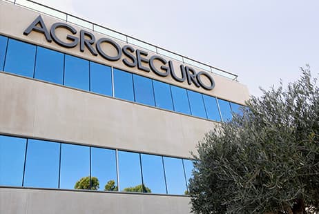 imagen X-ray image of Agroseguro and the Spanish multi-peril agricultural insurance scheme: linchpins of crop and livestock farming in Spain